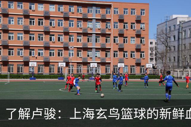 了解卢骏：上海玄鸟篮球的新鲜血液